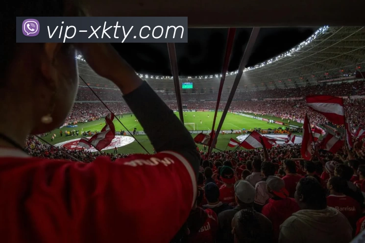 XK体育VIP品牌故事